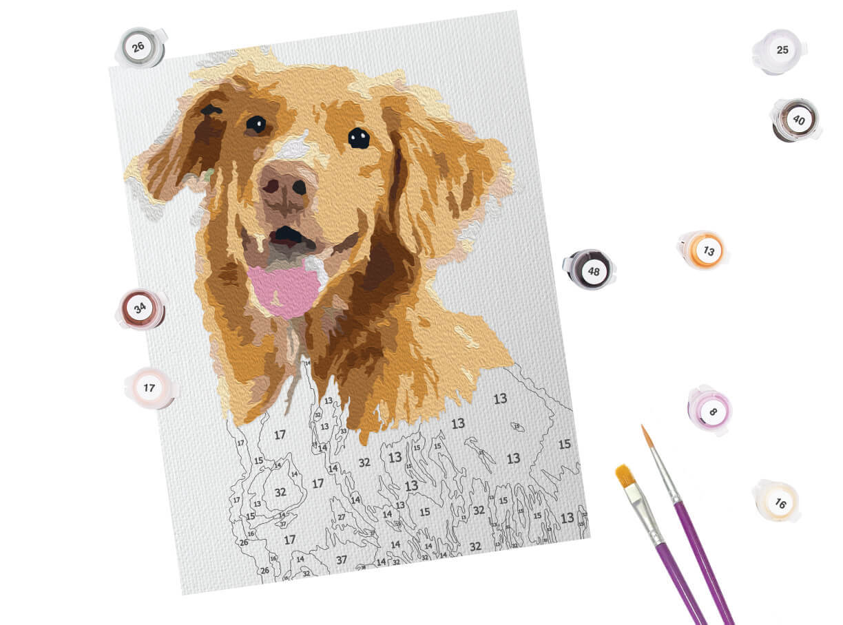 Partially painted paint by number of a golden retriever